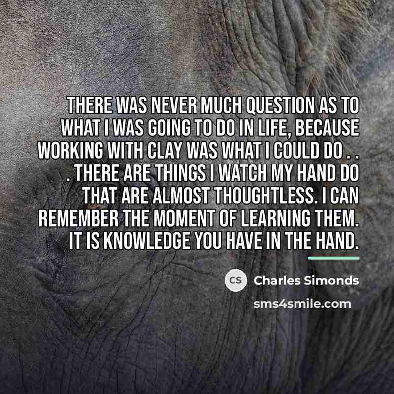 “There was never much question as to what I was…” quote by Charles Simonds