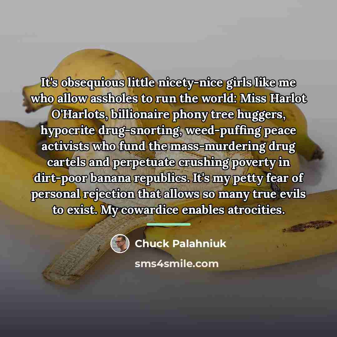 “It's obsequious little nicety-nice girls like me who allow assholes…” quote by Chuck Palahniuk