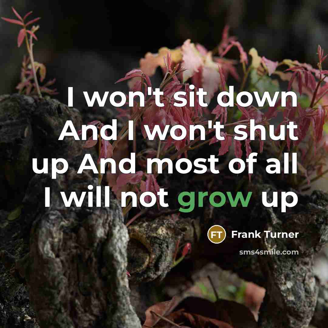 “I won't sit down And I won't shut up And…” quote by Frank Turner