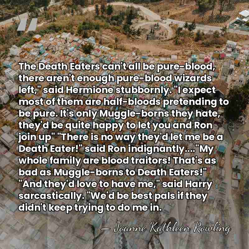 The Death Eaters can't all be pure-blood, there aren't enough pure-blood wizards&hellip; - Joanne Kathleen Rowling