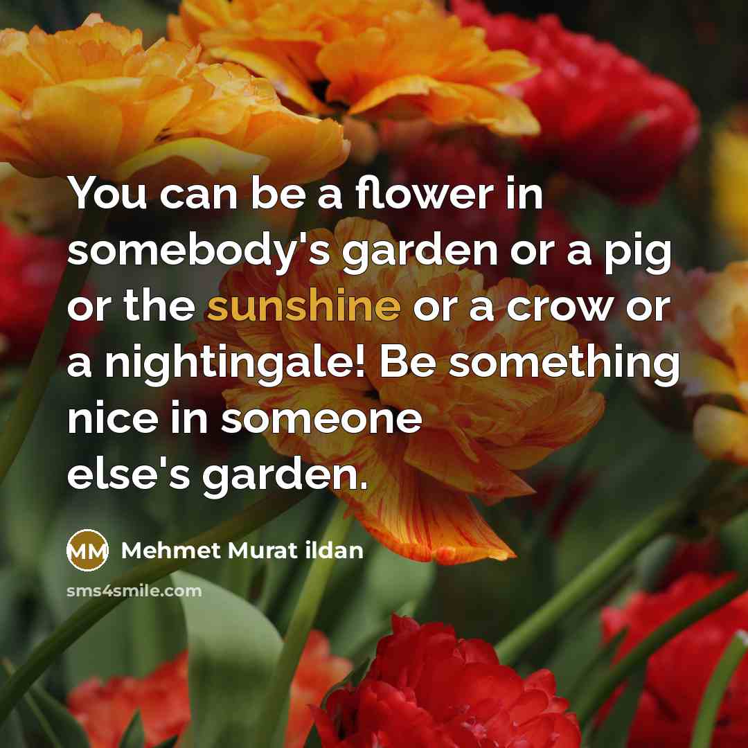 “You can be a flower in somebody's garden or a…” quote by Mehmet Murat Ildan
