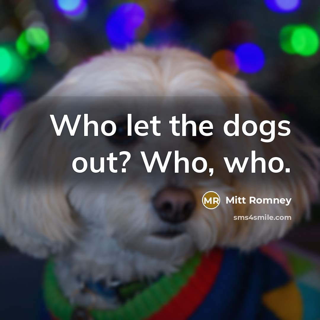 “Who let the dogs out? Who, who.…” quote by Mitt Romney