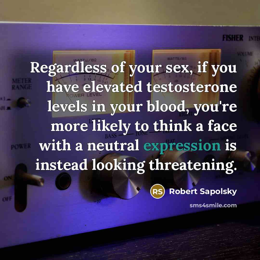 “Regardless of your sex, if you have elevated testosterone levels…” quote by Robert Sapolsky