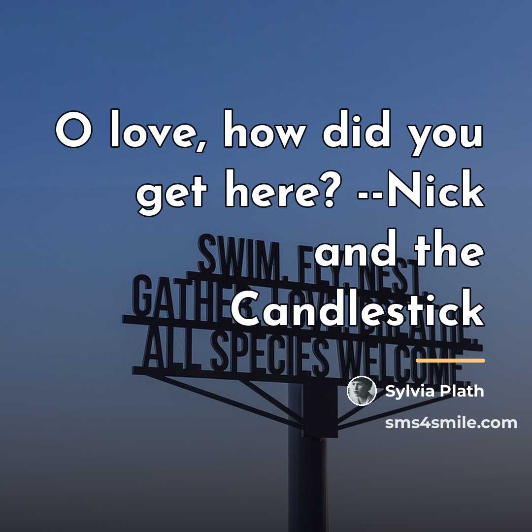“O love, how did you get here? --Nick and the…” quote by Sylvia Plath