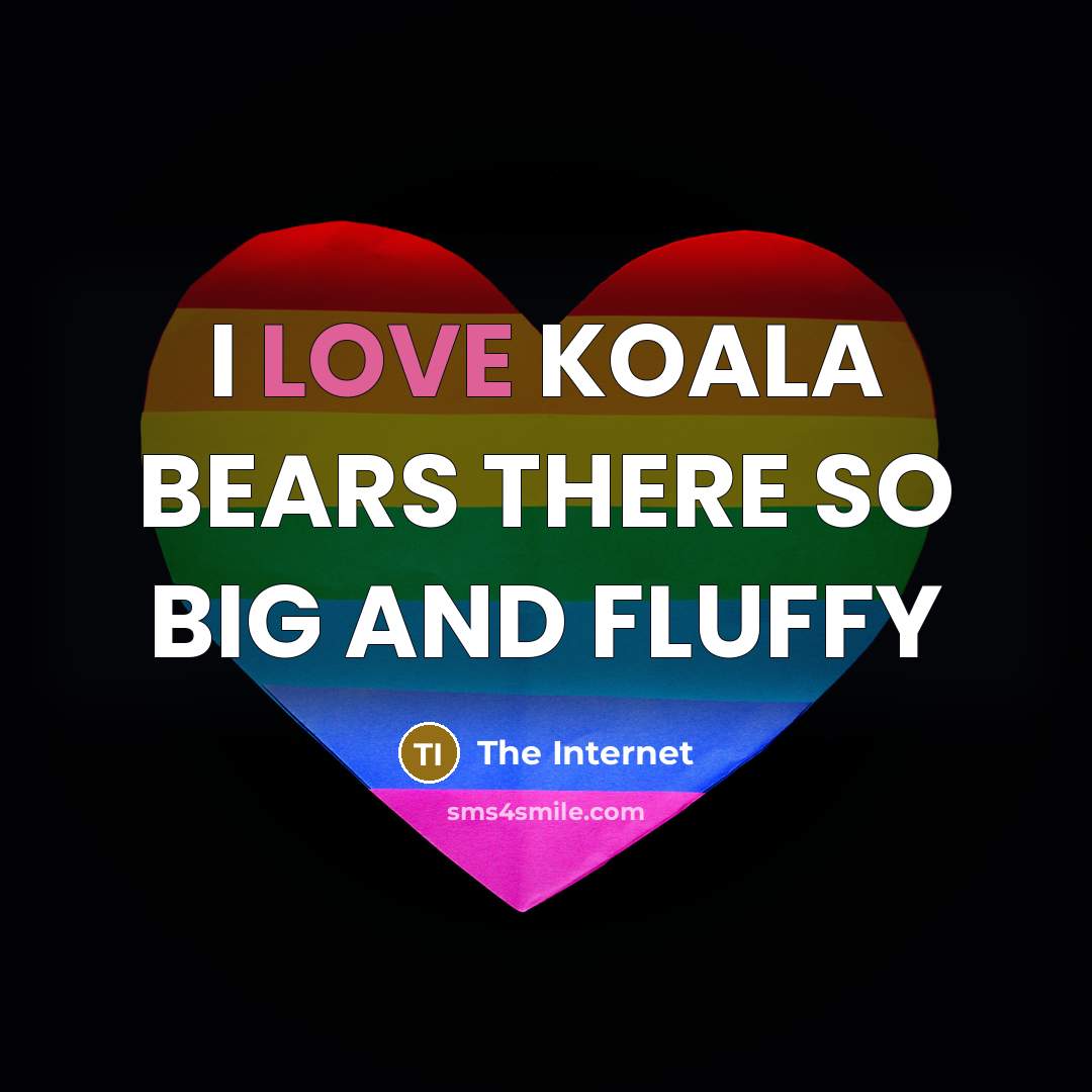 “I LOVE KOALA BEARS THERE SO BIG AND FLUFFY…” quote by The Internet
