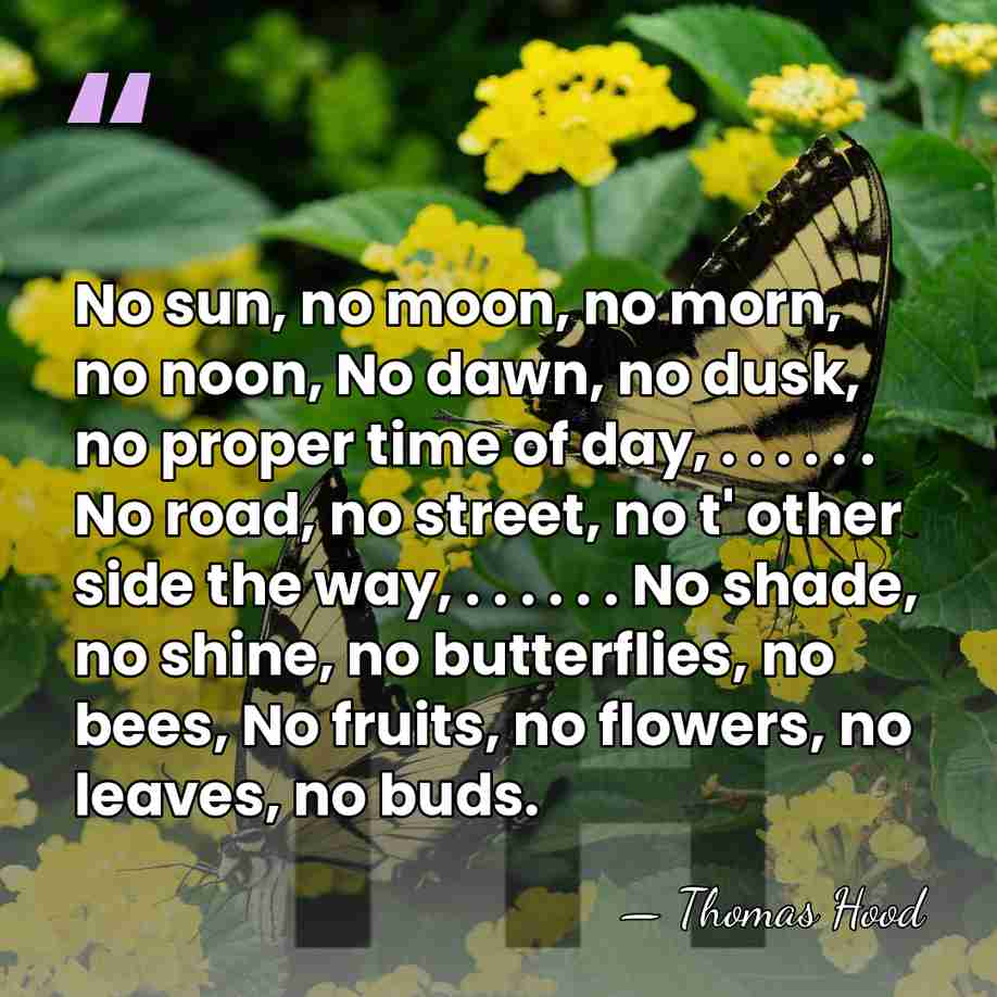 No sun, no moon, no morn, no noon, No dawn, no dusk,&hellip; - Thomas Hood