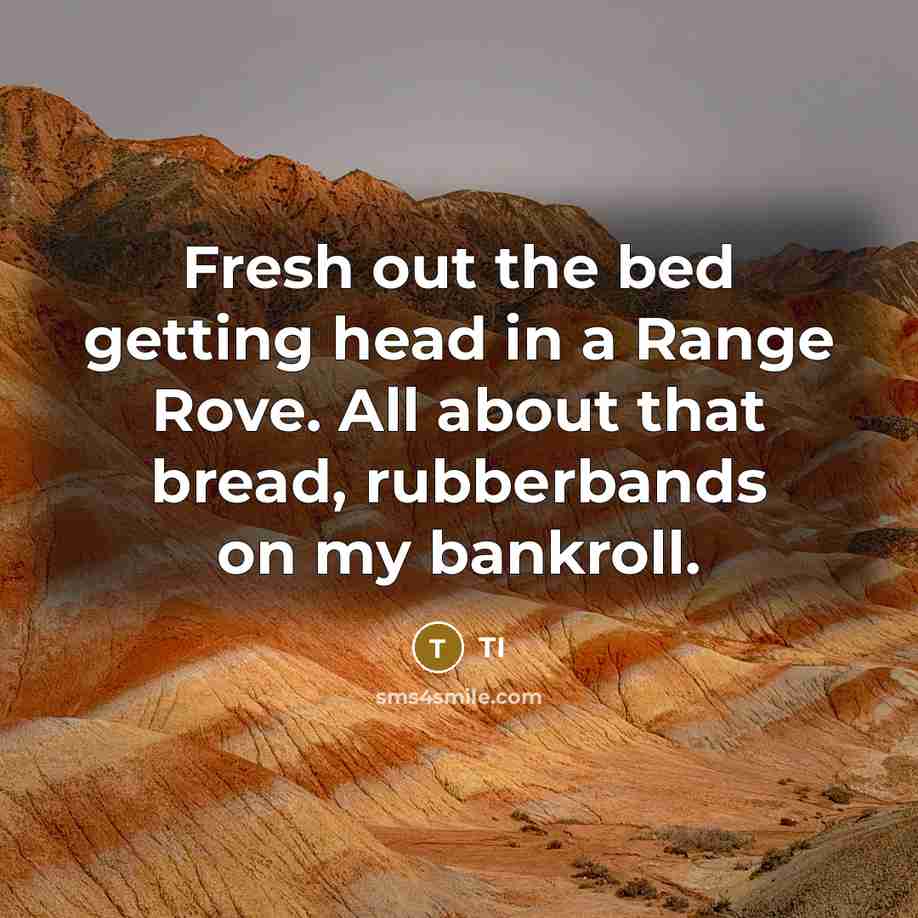“Fresh out the bed getting head in a Range Rove.…” quote by TI