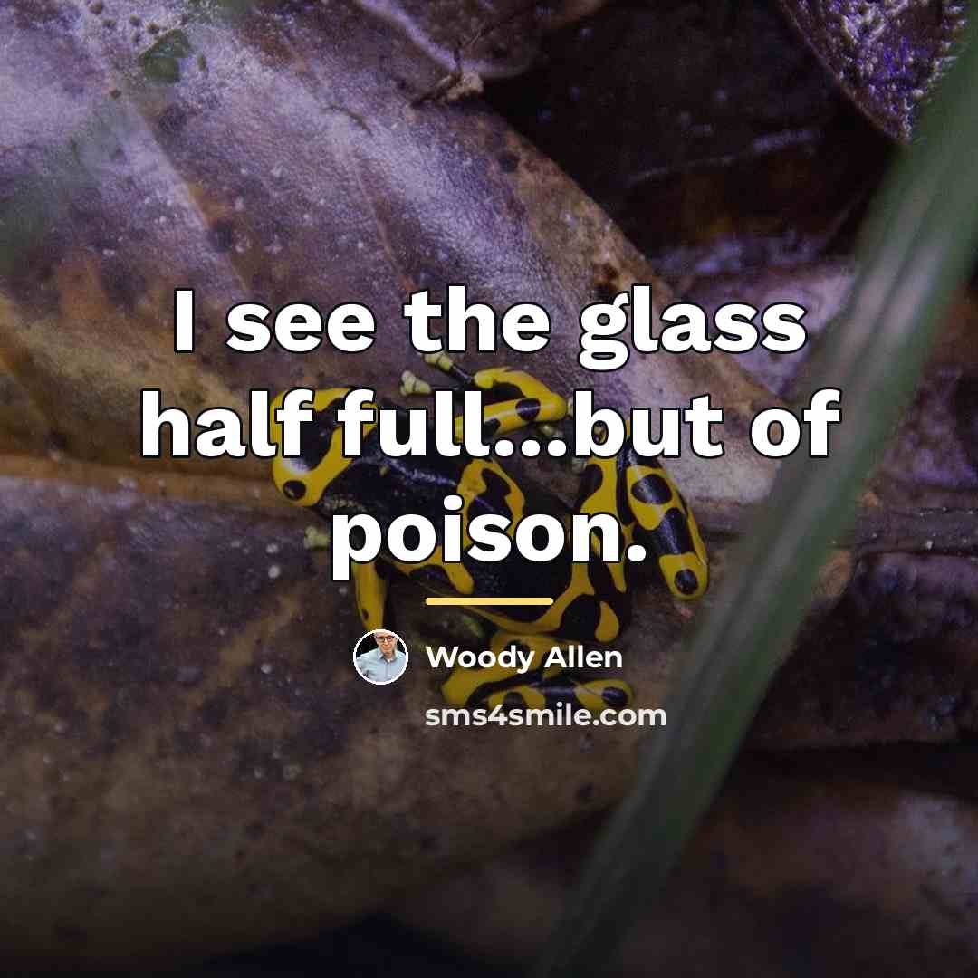 “I see the glass half full...but of poison.…” quote by Woody Allen