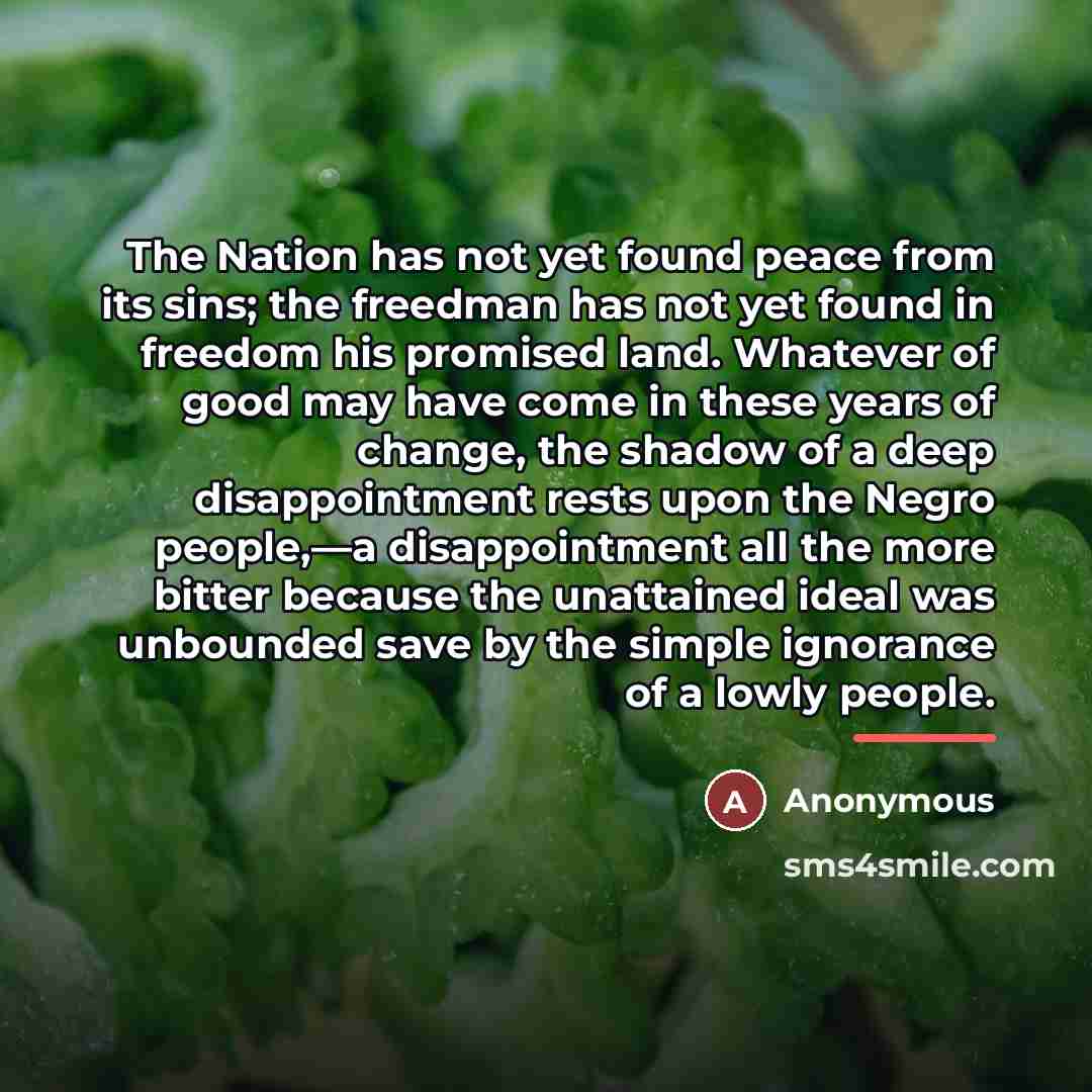 “The Nation has not yet found peace from its sins;…” quote by Anonymous