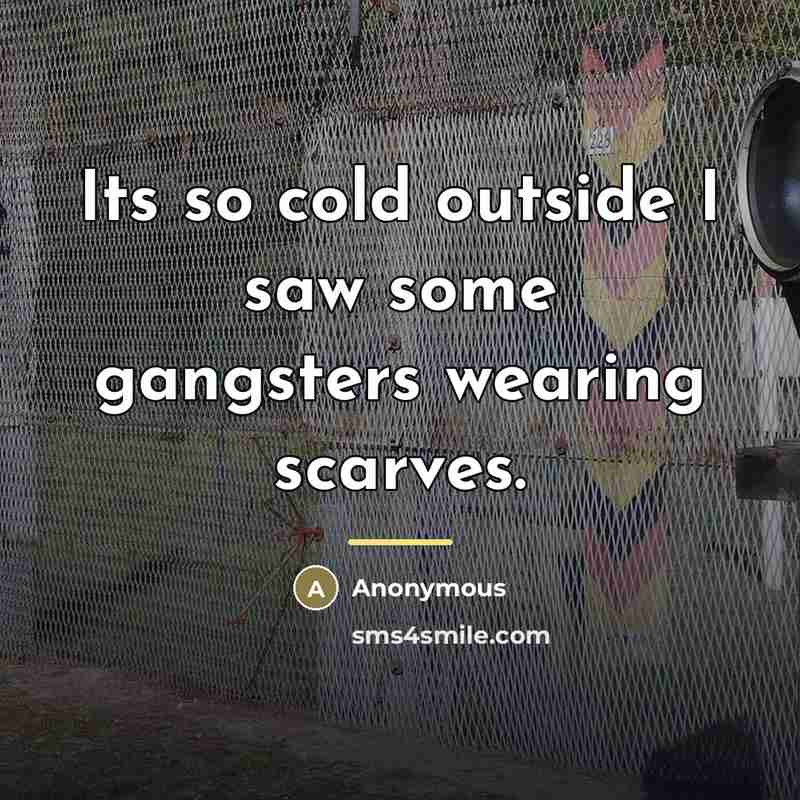 “Its so cold outside I saw some gangsters wearing scarves.…” quote by Anonymous