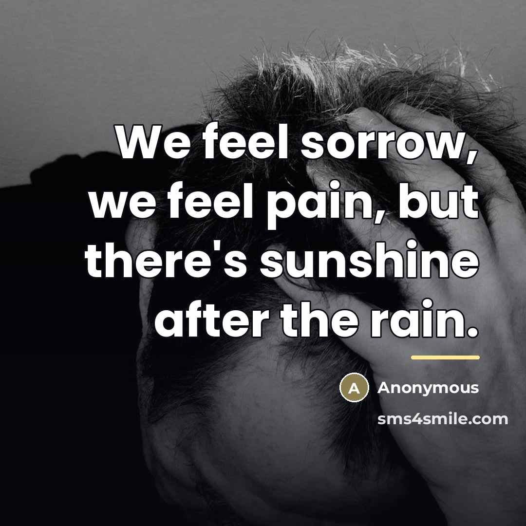 “We feel sorrow, we feel pain, but there's sunshine after…” quote by Anonymous