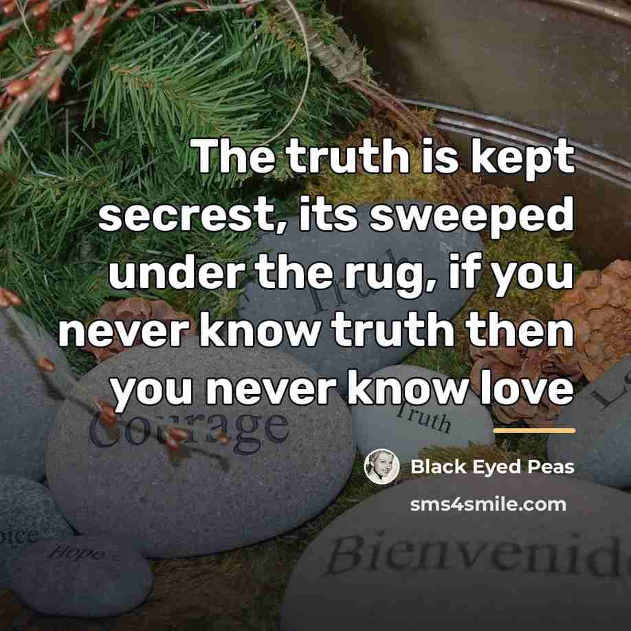 “The truth is kept secrest, its sweeped under the rug,…” quote by Black Eyed Peas