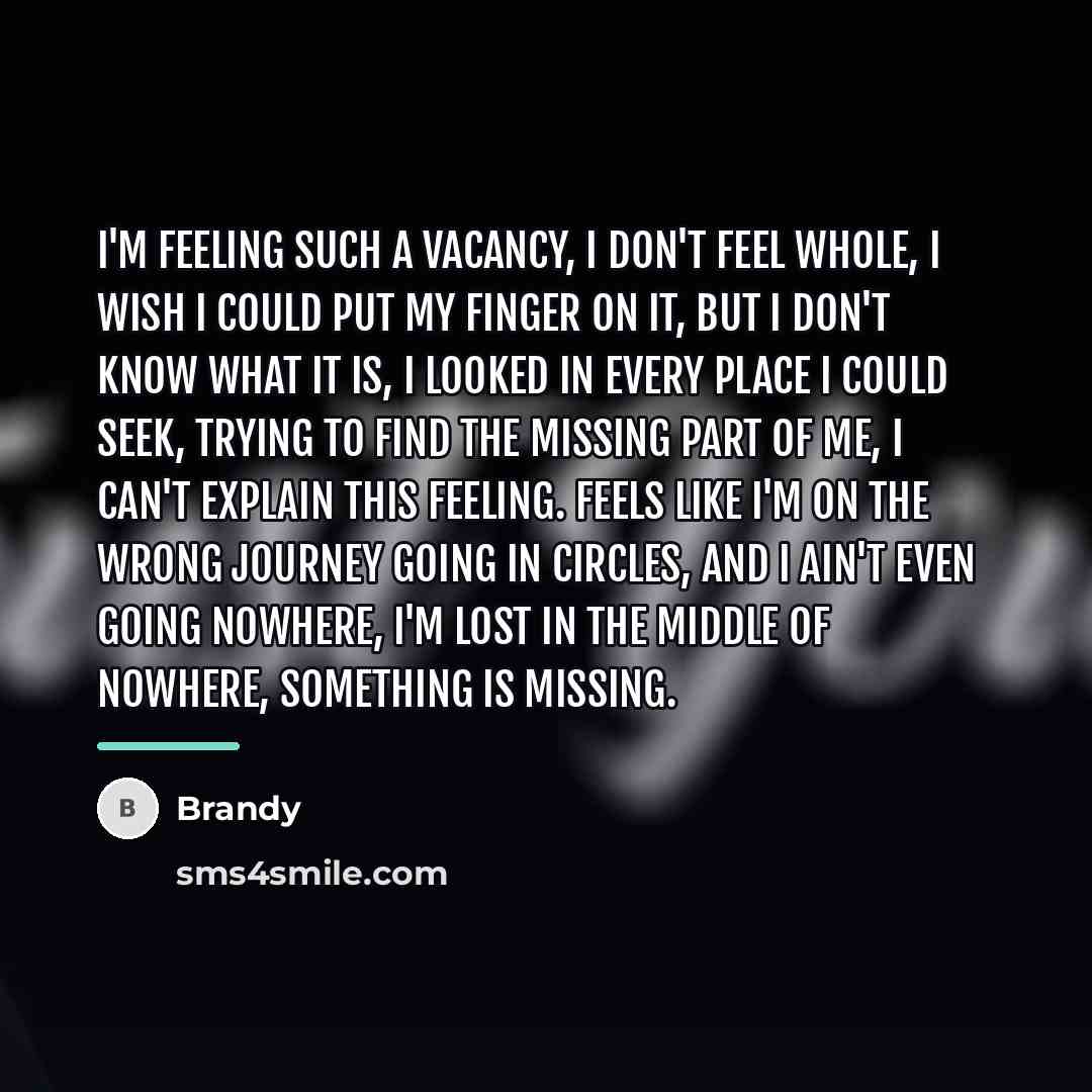 “I'm feeling such a vacancy, I don't feel whole, I…” quote by Brandy