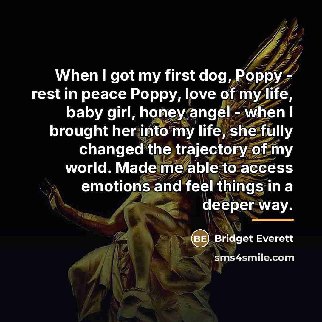 “When I got my first dog, Poppy - rest in…” quote by Bridget Everett