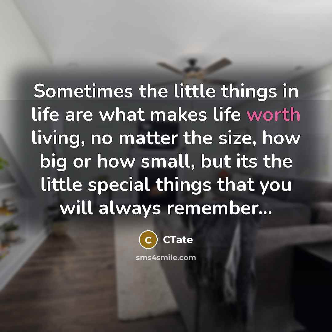 “Sometimes the little things in life are what makes life…” quote by CTate