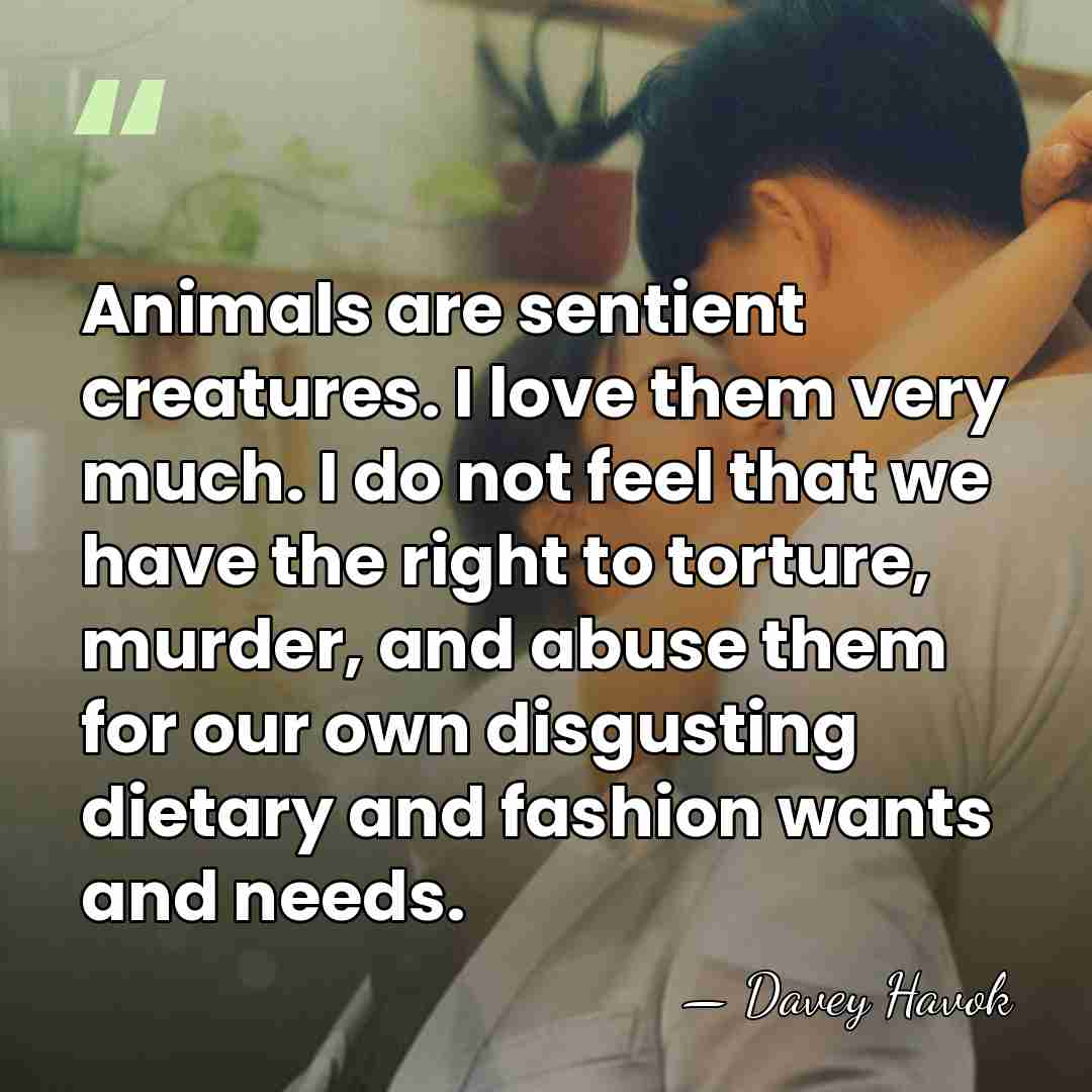 Animals are sentient creatures. I love them very much. I do not&hellip; - Davey Havok
