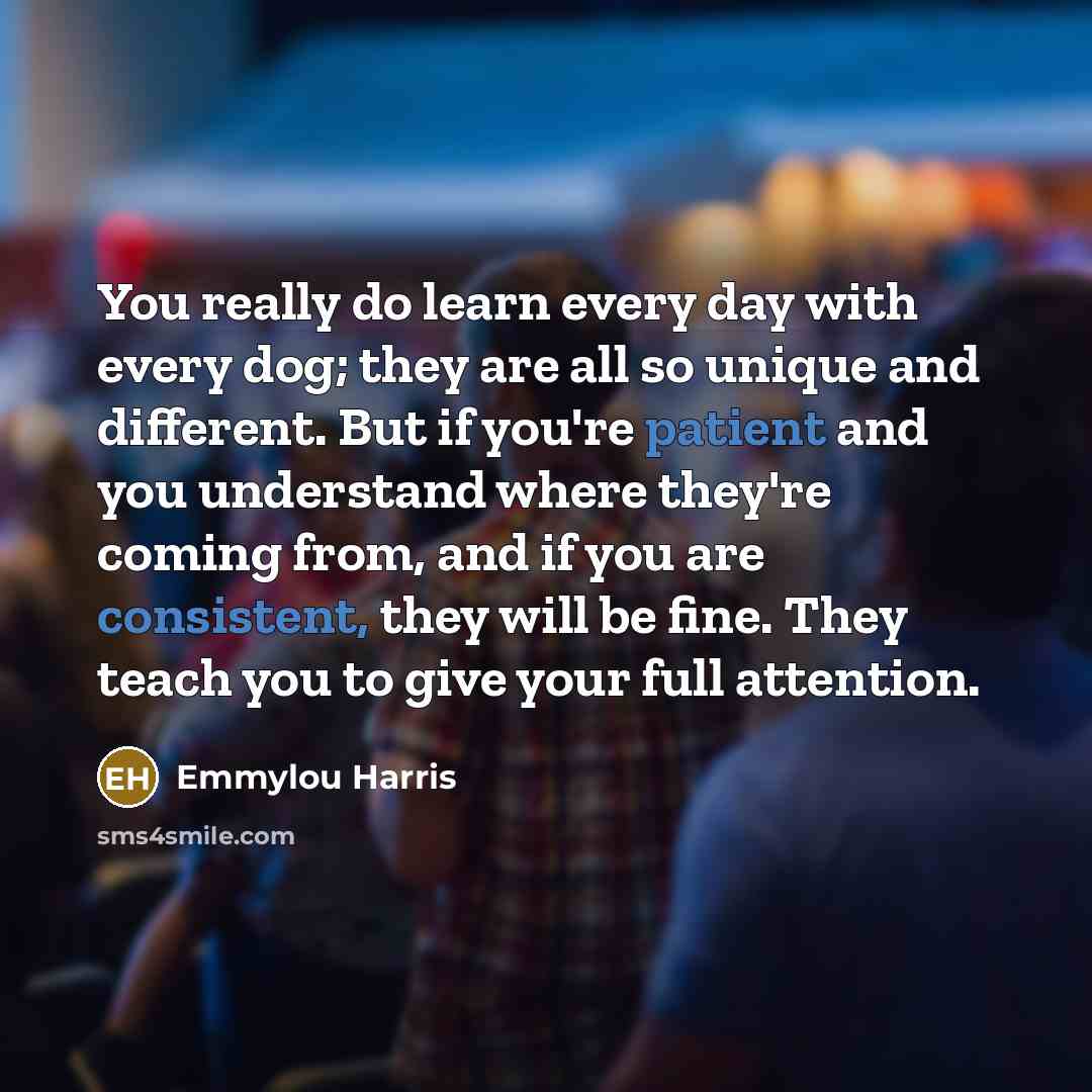 “You really do learn every day with every dog; they are all so unique and different. But if you're patient and you understand where they're coming from, and if you are consistent, they will be fine. They teach you to give your full attention.” quote by Emmylou Harris