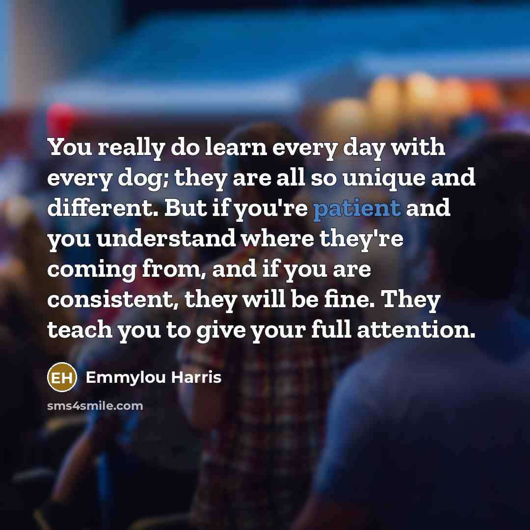 “You really do learn every day with every dog; they…” quote by Emmylou Harris