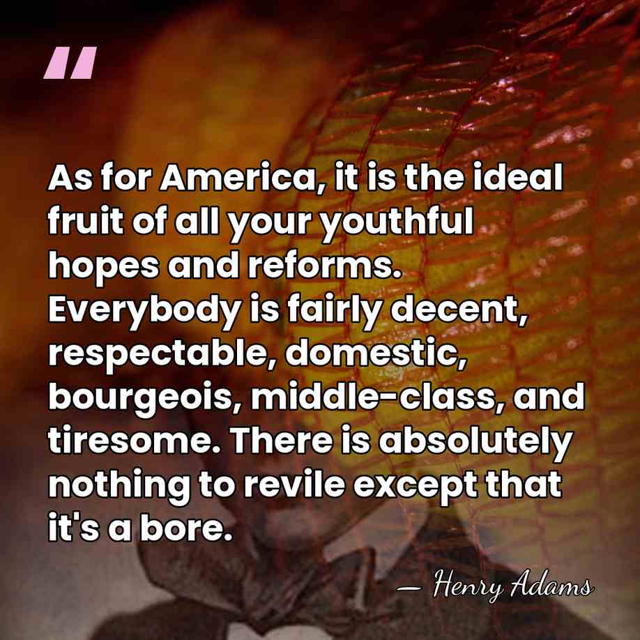 As for America, it is the ideal fruit of all your youthful&hellip; - Henry Adams