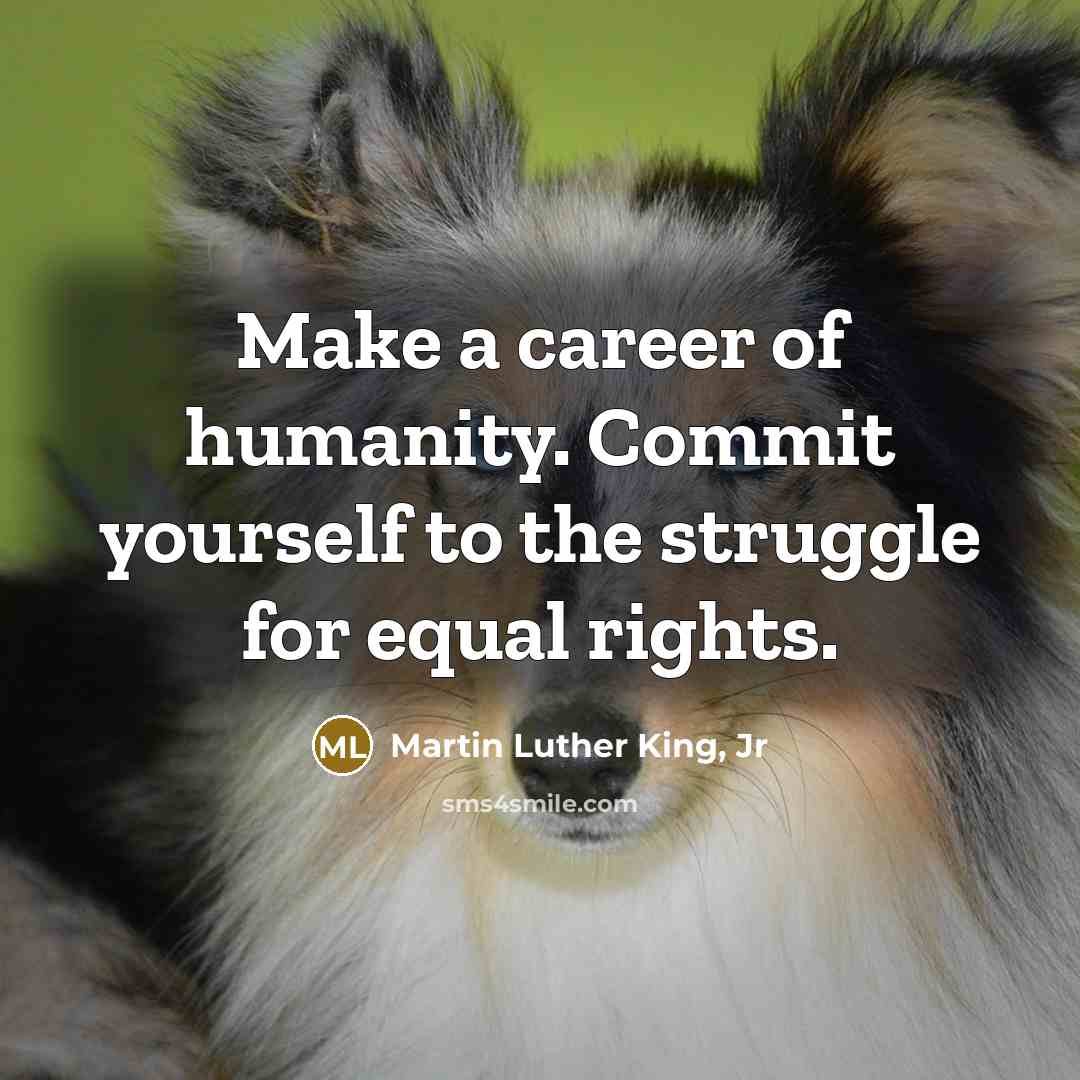 “Make a career of humanity. Commit yourself to the struggle…” quote by Martin Luther King, Jr