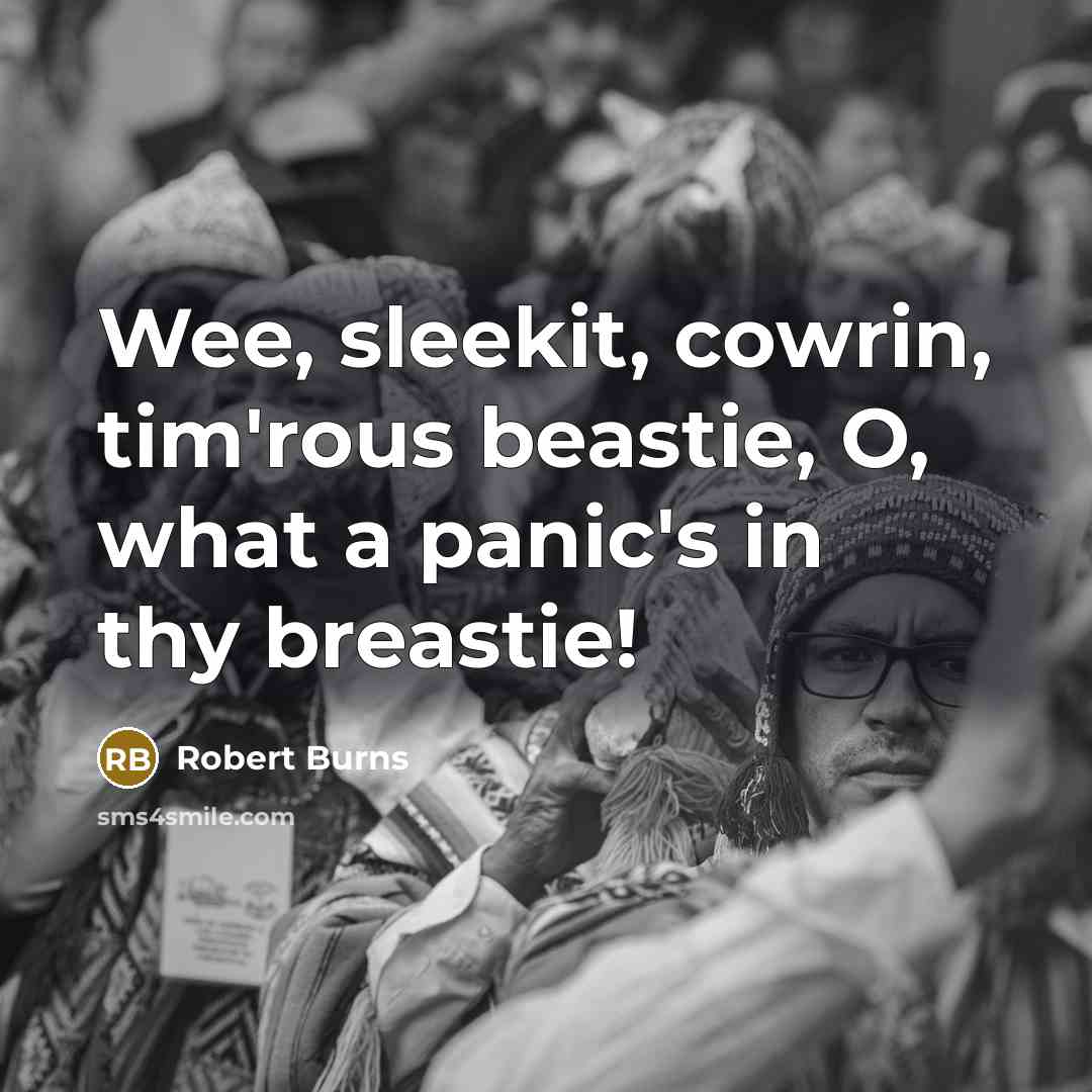 “Wee, sleekit, cowrin, tim'rous beastie, O, what a panic's in…” quote by Robert Burns