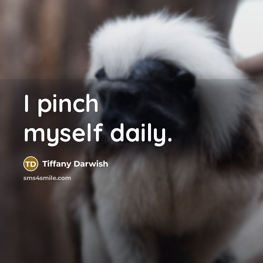 “I pinch myself daily.…” quote by Tiffany Darwish