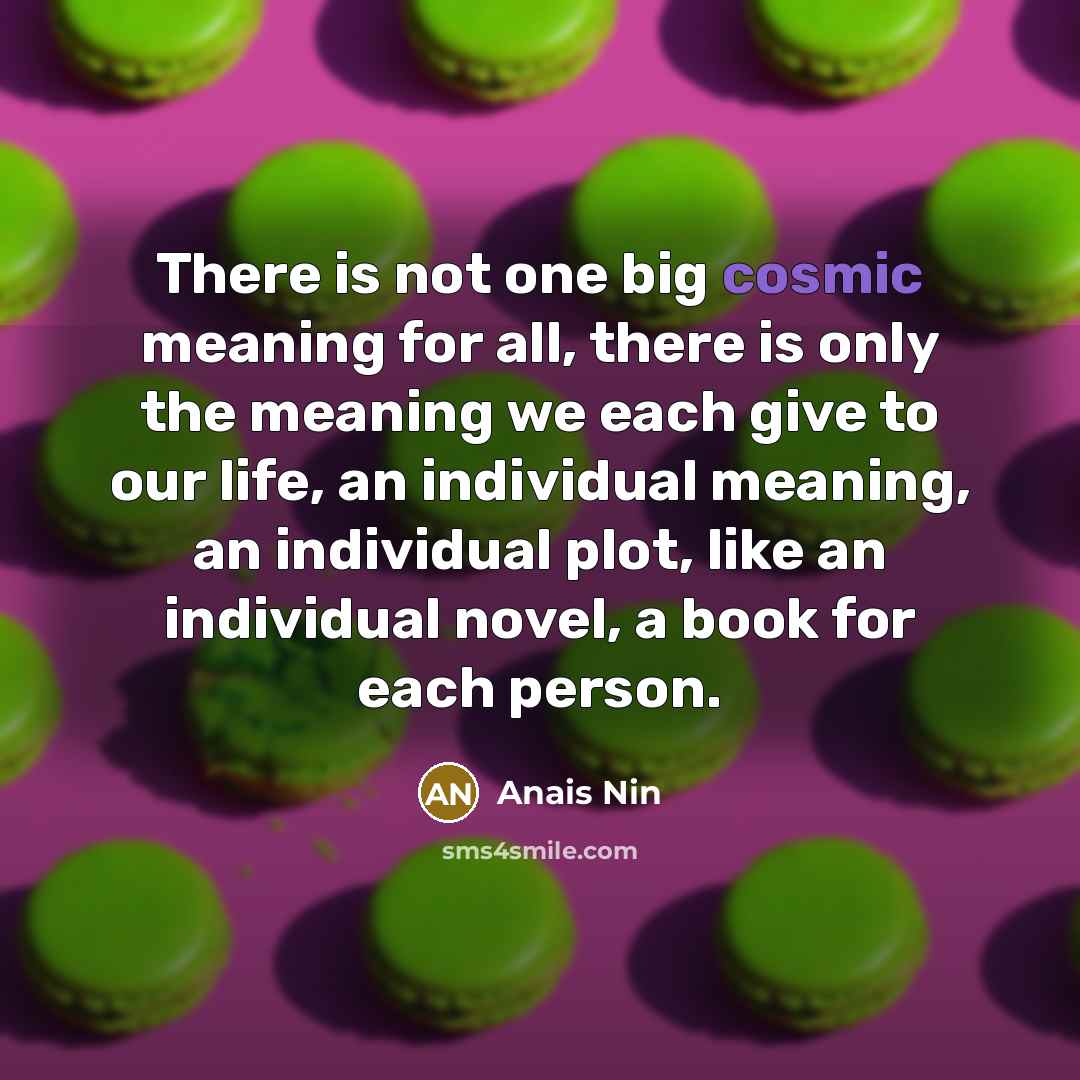 “There is not one big cosmic meaning for all, there…” quote by Anais Nin