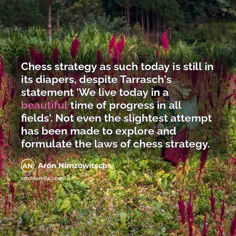 “Chess strategy as such today is still in its diapers,…” quote by Aron Nimzowitsch