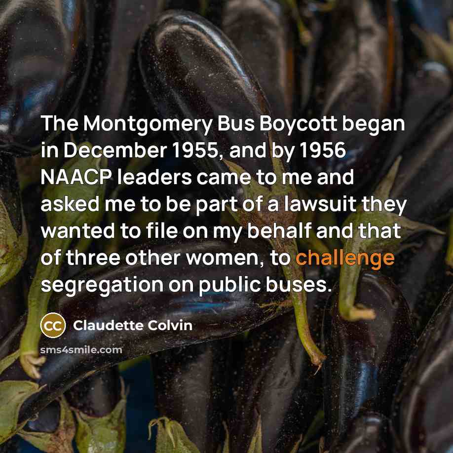 “The Montgomery Bus Boycott began in December 1955, and by…” quote by Claudette Colvin