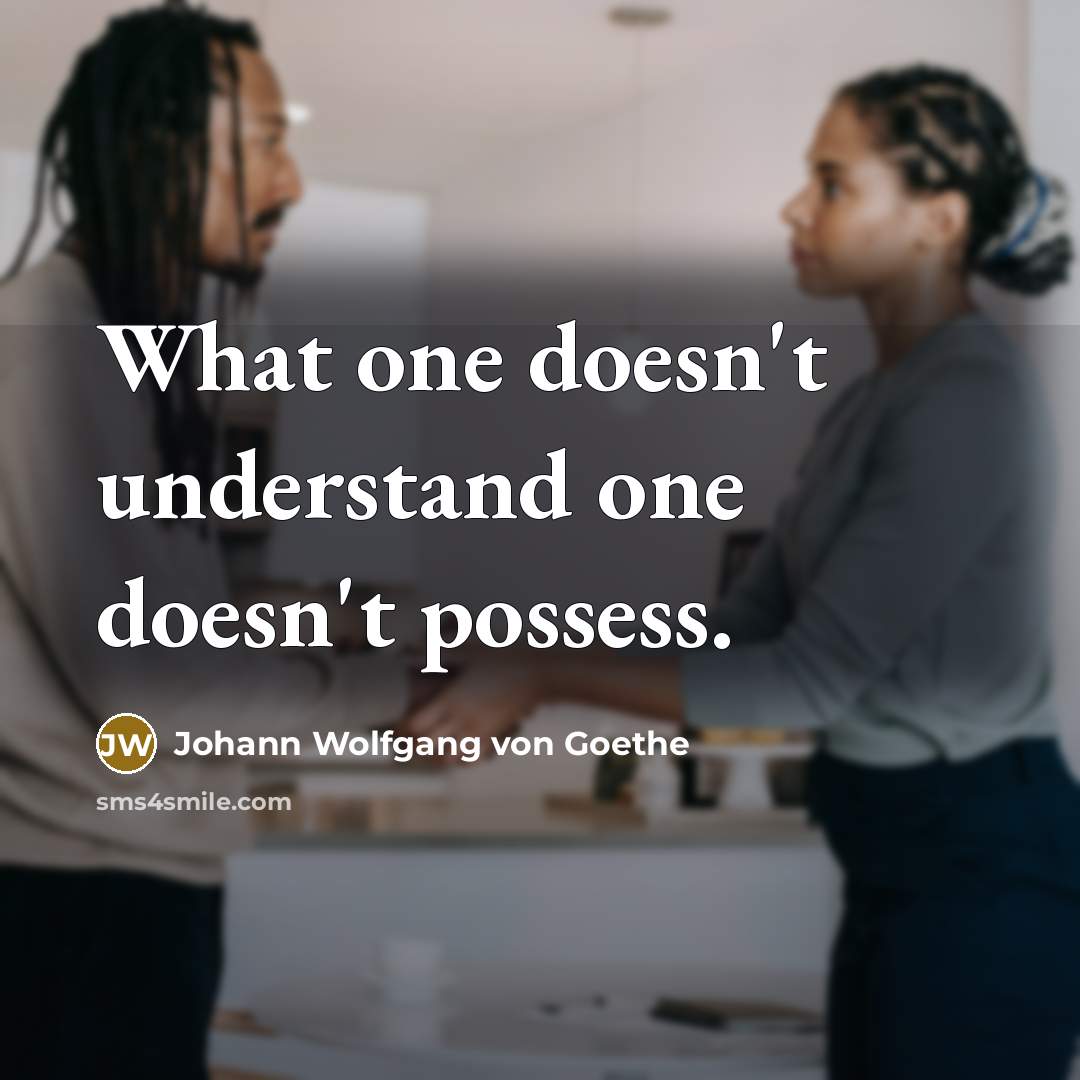 “What one doesn't understand one doesn't possess.” quote by Johann Wolfgang von Goethe