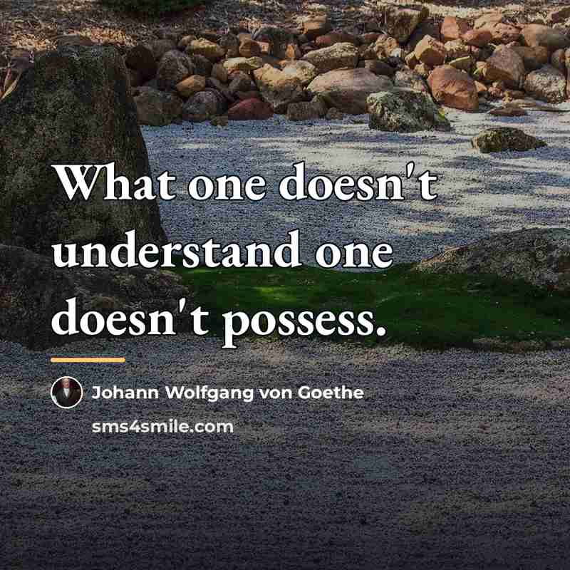 “What one doesn't understand one doesn't possess.…” quote by Johann Wolfgang von Goethe