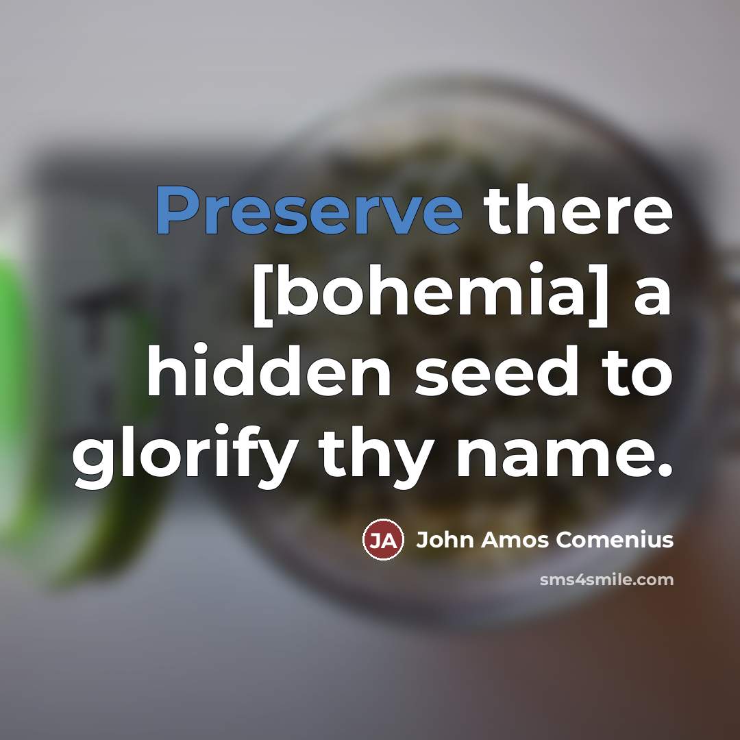 “Preserve there [bohemia] a hidden seed to glorify thy name.…” quote by John Amos Comenius