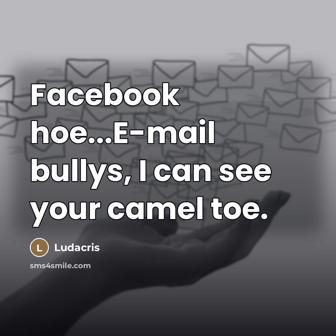 “Facebook hoe...E-mail bullys, I can see your camel toe.…” quote by Ludacris