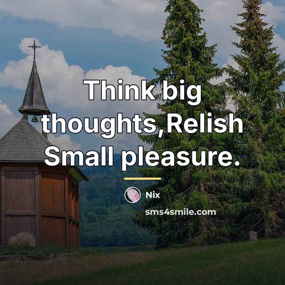 “Think big thoughts,Relish Small pleasure.…” quote by Nix