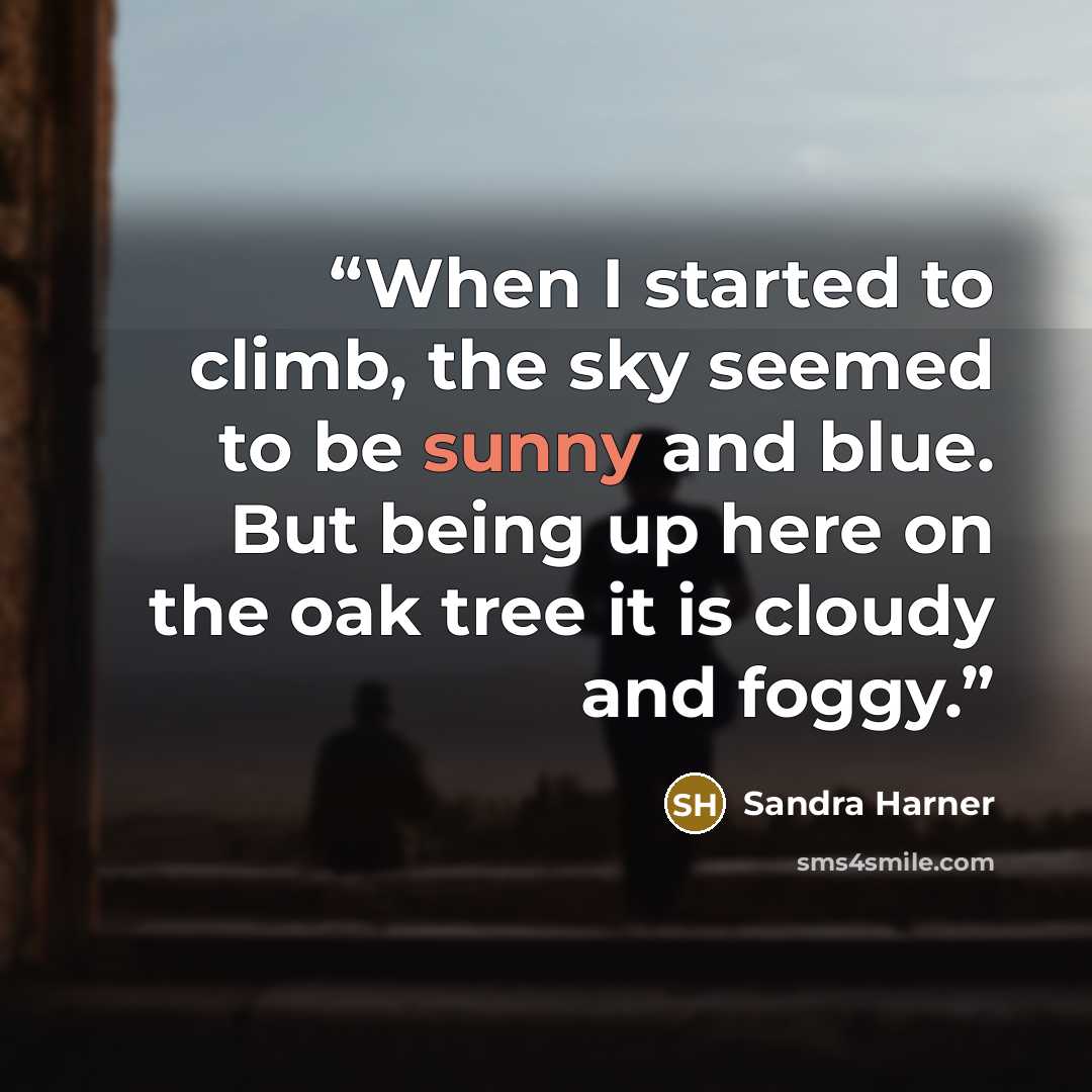 “When I started to climb, the sky seemed to be sunny and blue. But being up here on the oak tree it is cloudy and foggy.” quote by Sandra Harner