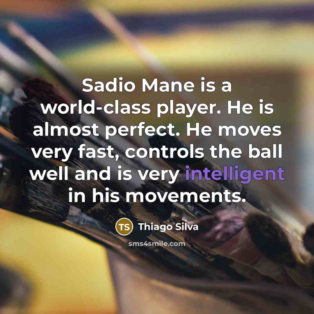 “Sadio Mane is a world-class player. He is almost perfect.…” quote by Thiago Silva