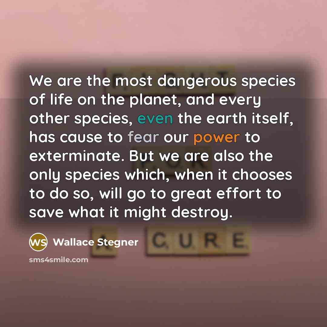 “We are the most dangerous species of life on the…” quote by Wallace Stegner