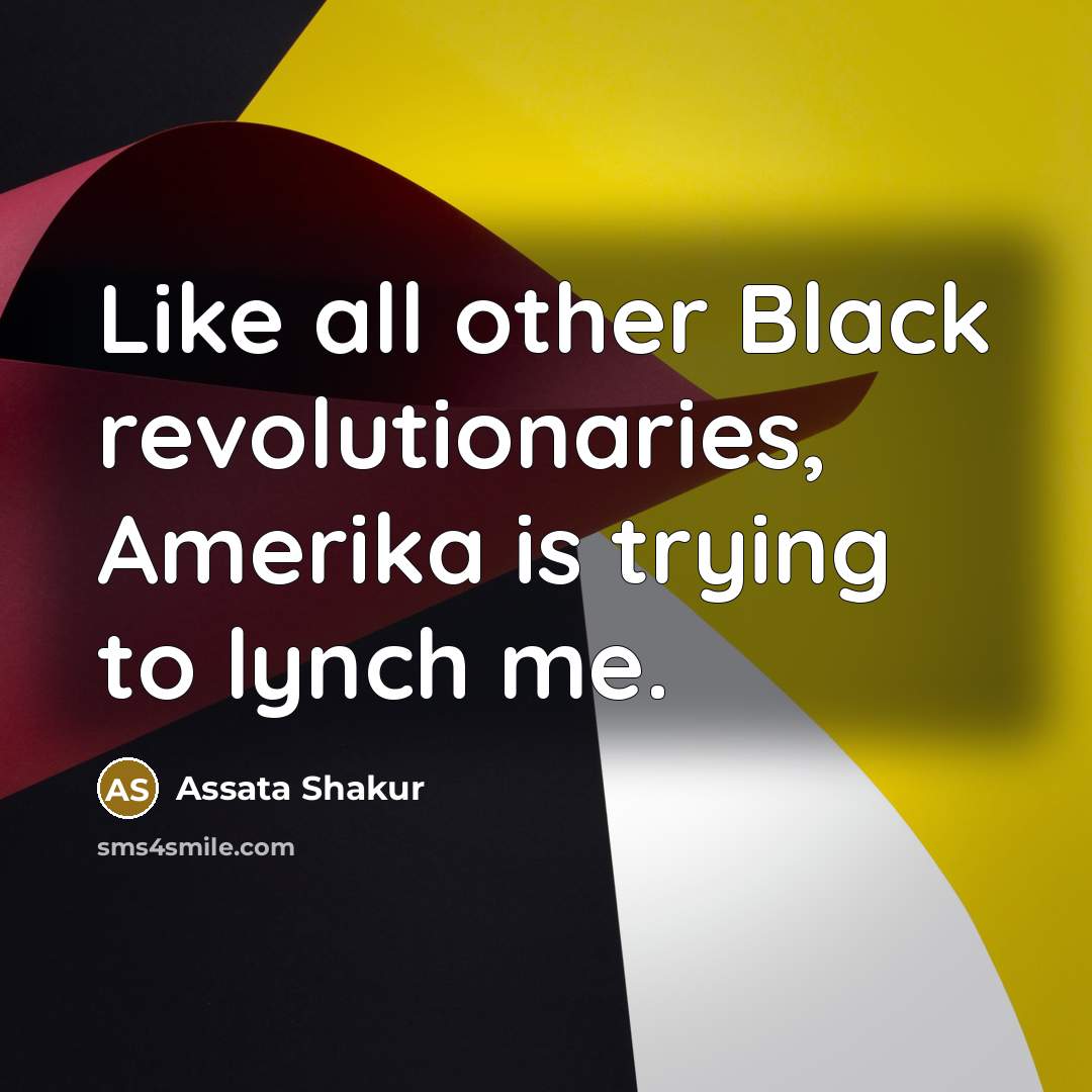 “Like all other Black revolutionaries, Amerika is trying to lynch…” quote by Assata Shakur