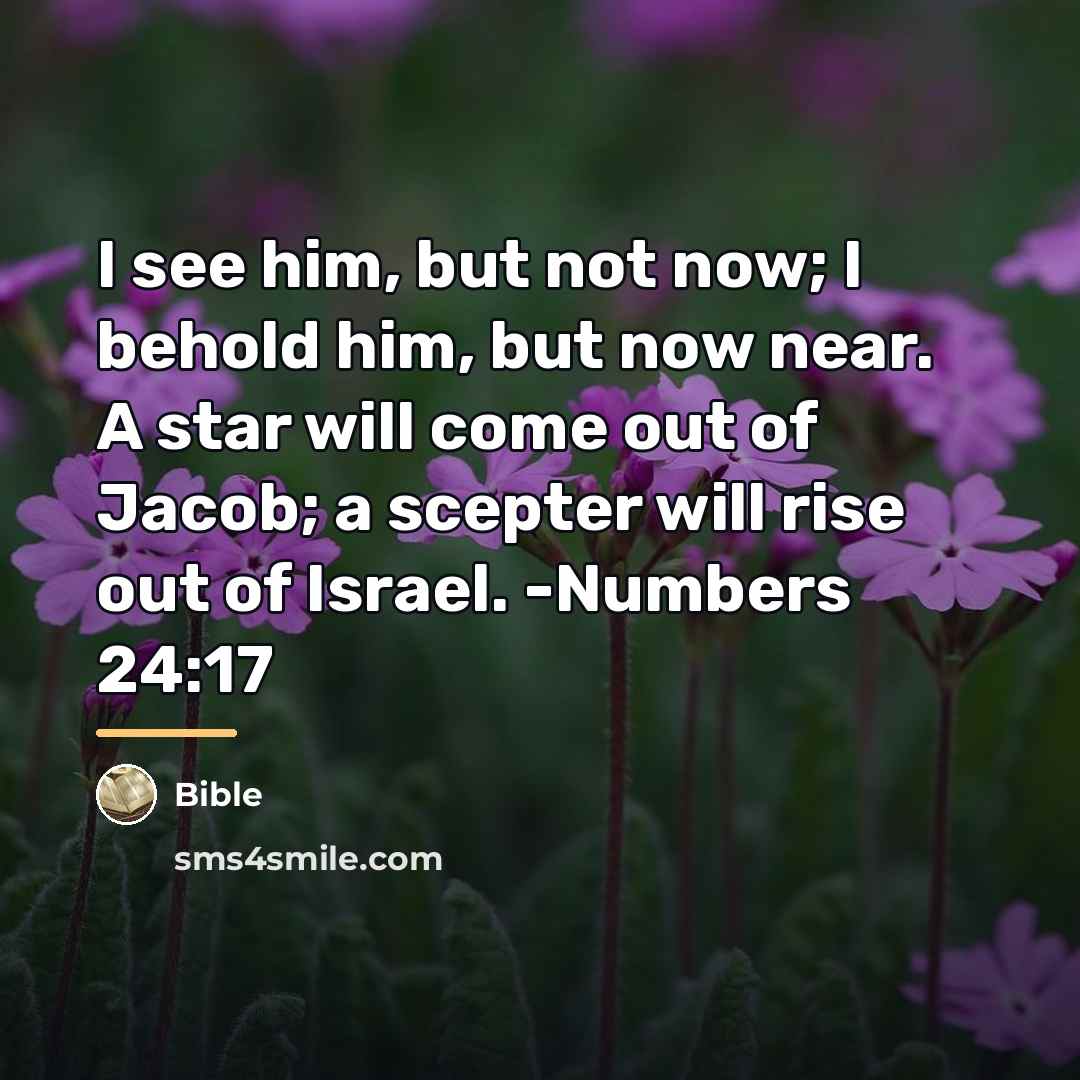 “I see him, but not now; I behold him, but…” quote by Bible