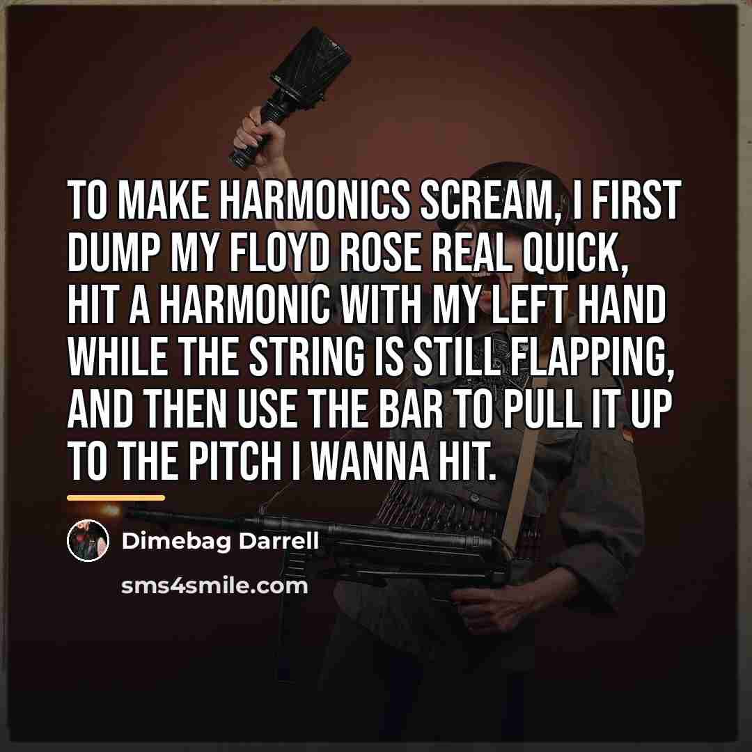 “To make harmonics scream, I first dump my Floyd Rose…” quote by Dimebag Darrell