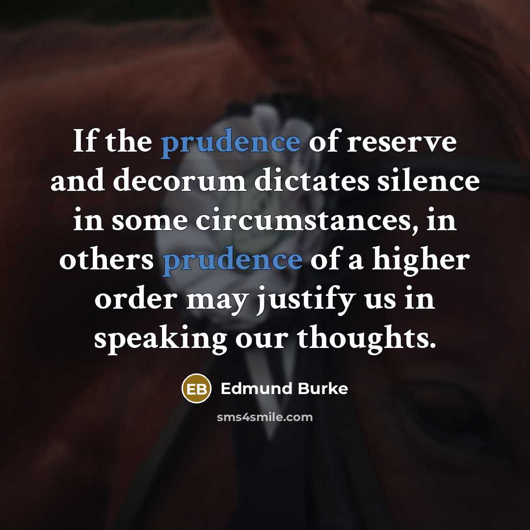 “If the prudence of reserve and decorum dictates silence in…” quote by Edmund Burke