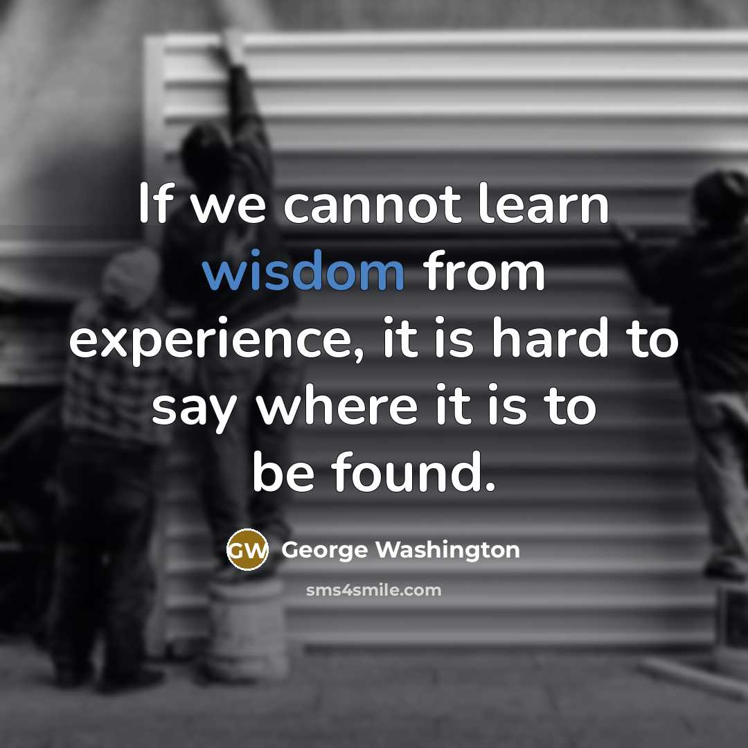 “If we cannot learn wisdom from experience, it is hard to say where it is to be found.” quote by George Washington