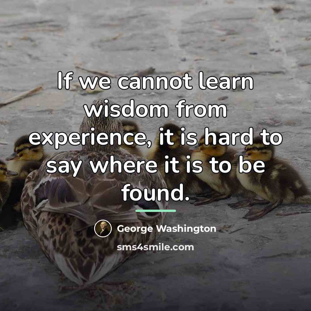 “If we cannot learn wisdom from experience, it is hard…” quote by George Washington