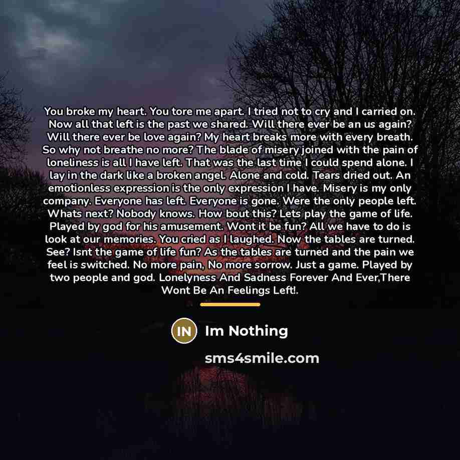 “You broke my heart. You tore me apart. I tried…” quote by Im Nothing