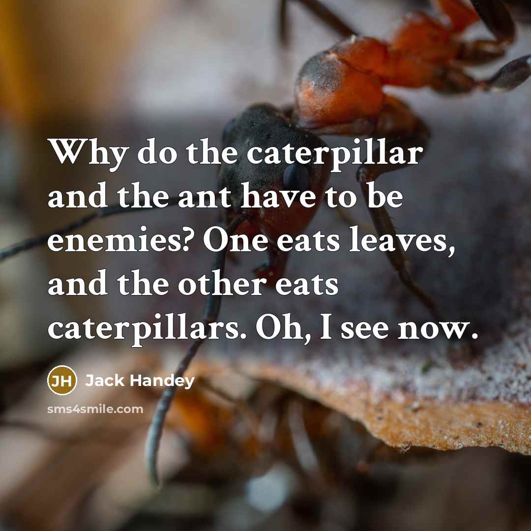 “Why do the caterpillar and the ant have to be…” quote by Jack Handey