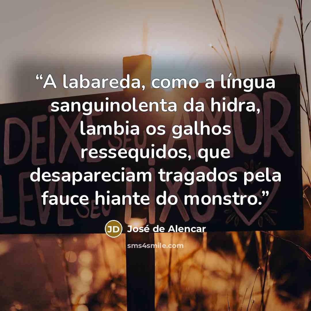 “A labareda, como a língua sanguinolenta da hidra, lambia os galhos ressequidos, que desapareciam tragados pela fauce hiante do monstro.” quote by José de Alencar