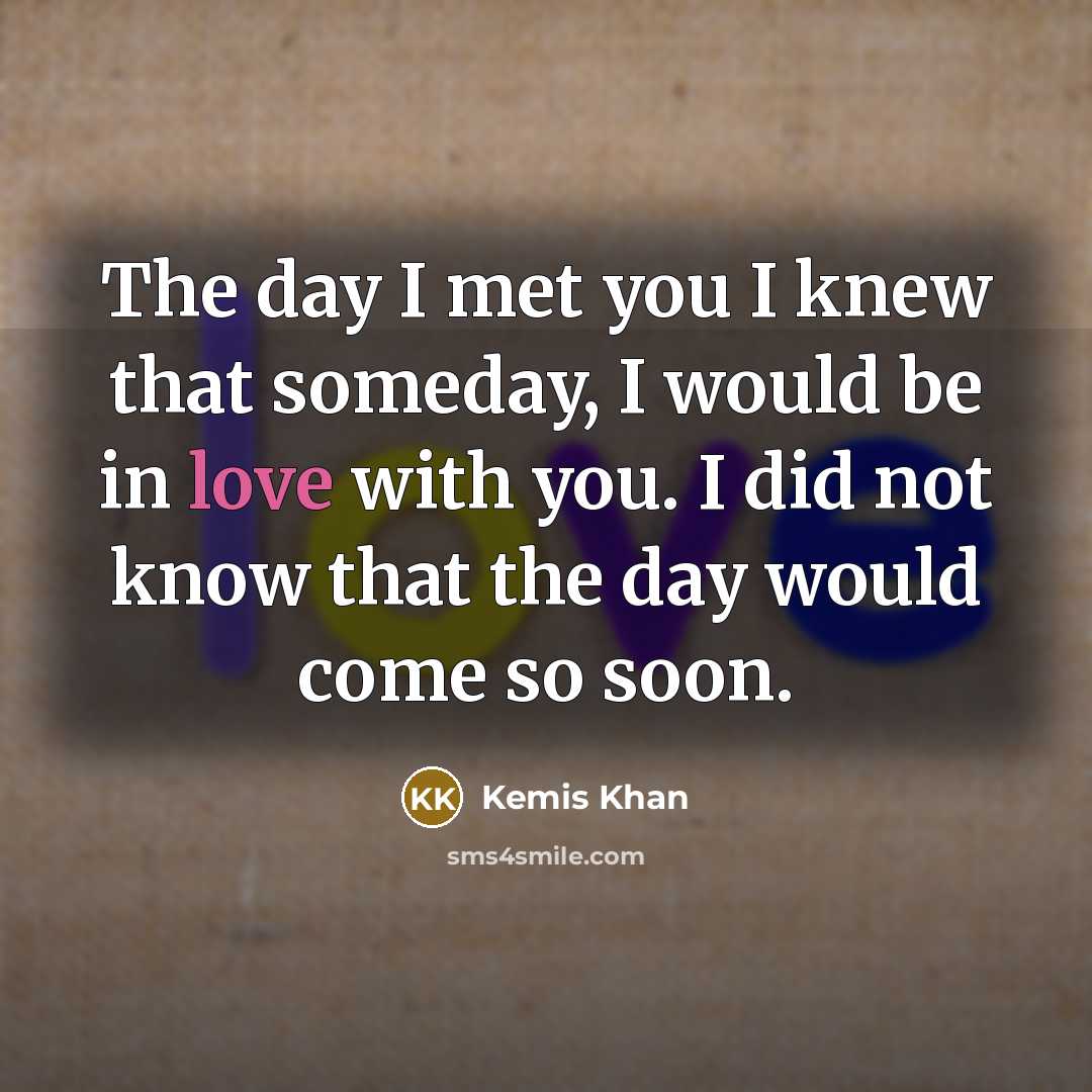 “The day I met you I knew that someday, I…” quote by Kemis Khan