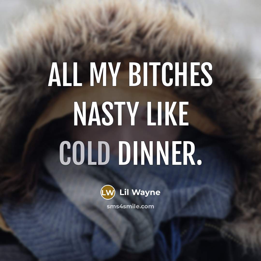 “All my bitches nasty like cold dinner.…” quote by Lil Wayne