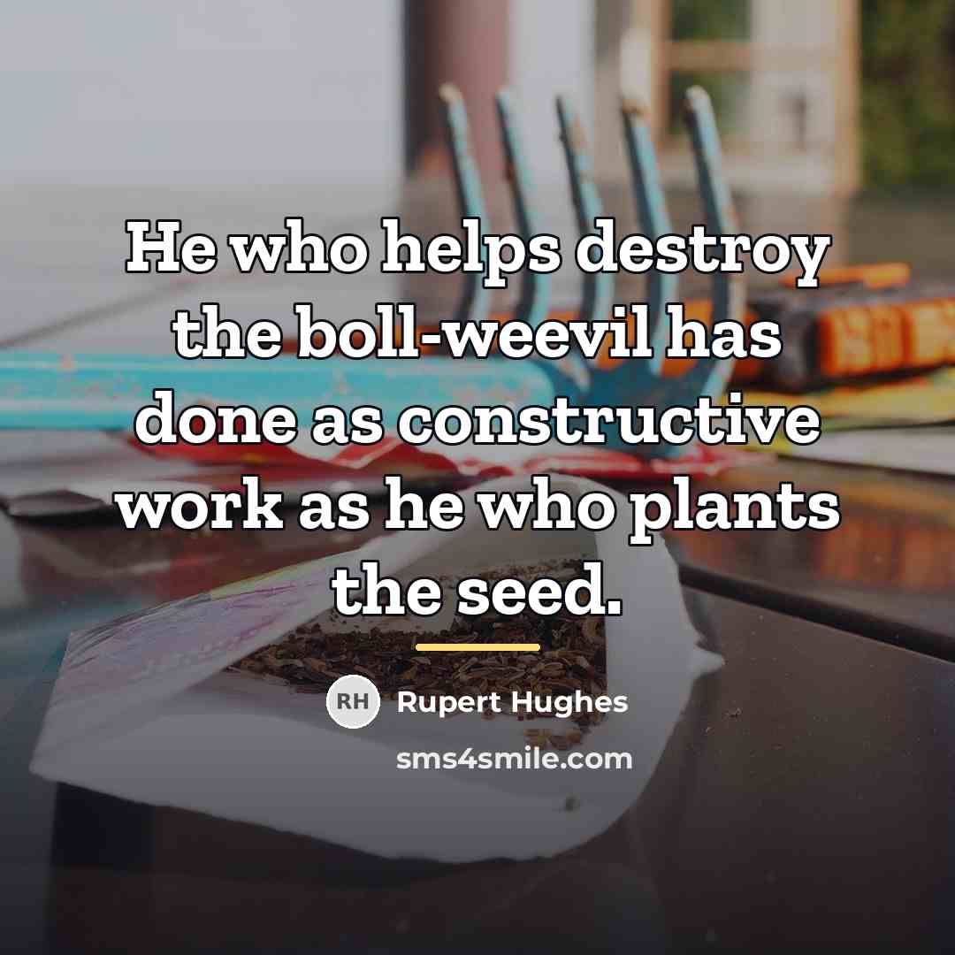 “He who helps destroy the boll-weevil has done as constructive…” quote by Rupert Hughes