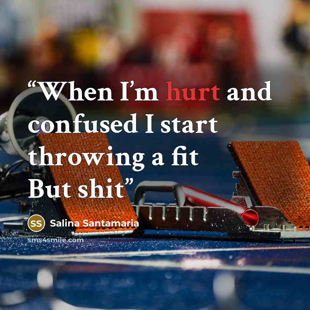 “When I’m hurt and confused I start throwing a fit But shit” quote by Salina Santamaria